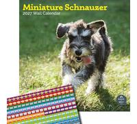 Baker and Bray Miniature Schnauzer Calendar 2027, Large with Stickers