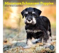 Baker and Bray Miniature Schnauzer Puppies Calendar 2027, Large