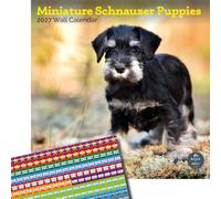 Baker and Bray Miniature Schnauzer Puppies Calendar 2027, Large