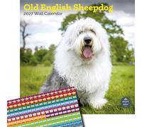 Baker And Bray Old English Sheepdog Calendar 2027, Large with Stickers | Large square 16-month wall calendar with organisational stickers, ideal as an Old English Sheepdog gift.