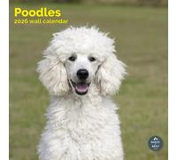 Baker and Bray Poodle Calendar 2026, Large Square Wall, 16 Month, Poodle Gift Dog Calendar.