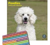 Baker and Bray Poodle Calendar 2026, Large Square Wall Calendar, With Organisational Stickers, 16 Month, Poodle Gift Dog Calendar.