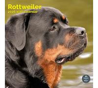 Baker and Bray Rottweiler Calendar 2026, Large Square Wall, 16 Month, Rottweiler Gift Dog Calendar.