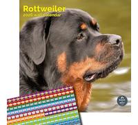 Baker and Bray Rottweiler Calendar 2026, Large Square Wall Calendar With Organisational Stickers, 16 Month, Rottweiler Gift Dog Calendar.