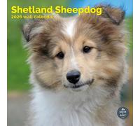 Baker And Bray Shetland Sheepdog Calendar 2026, Large Square Wall Calendar, 16 Month, Shetland Sheepdog Gift Calendar