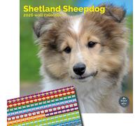 Baker And Bray Shetland Sheepdog Calendar 2026, Large Square Wall Calendar With Organisational Stickers, 16 Month, Shetland Sheepdog Gift Calendar