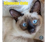 Baker and Bray Siamese Cats Calendar 2026, Large Square Wall Calendar, 16 Month, Siamese Cats Gift Cat Calendar