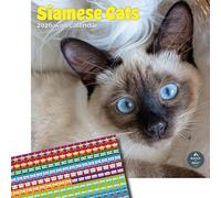 Baker and Bray Siamese Cats Calendar 2026, Large Square Wall Calendar With Organisational Stickers, 16 Month, Siamese Cats Gift Cat Calendar