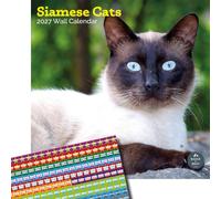 Baker and Bray Siamese Cats Calendar 2027, Large with Stickers | Large square 16-month wall calendar with organisational stickers, ideal as a Siamese Cats gift.