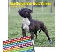 Baker and Bray Staffordshire Bull Terrier Calendar 2026, Large Square Wall Calendar With Organisational Stickers, 16 Month, Staffordshire Bull Terrier Gift Dog Calendar