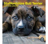 Baker and Bray Staffordshire Bull Terrier Puppies Calendar 2026, Large Square Wall Calendar, 16 Month, Staffordshire Bull Terrier Puppies Gift Dog Calendar