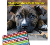 Baker and Bray Staffordshire Bull Terrier Puppies Calendar 2026, Large Square Wall Calendar With Organisational Stickers, 16 Month, Staffordshire Bull Terrier Puppies Gift Dog Calendar