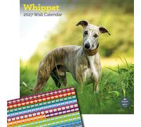 Baker and Bray Whippet Calendar 2027, Large with Stickers