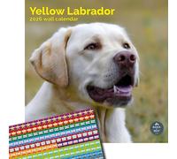 Baker and Bray Yellow Labrador Calendar 2026, Large Square Wall Calendar With Organisational Stickers, 16 Month, Yellow Labrador Gift Dog Calendar.