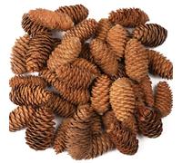 Baker Ross AF922 Long Pine Cones Value Pack - Ideal for Kids' Arts and Crafts, Christmas, Sensory Stimulation, and More (Pack of 20), Natural, 250g