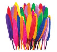 Baker Ross AR245 Mini Quill Feathers Value Pack - Pack of 80, 13cm, Assorted Colours, Craft Feathers, Decorative Materials