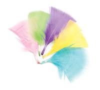 Baker Ross AR259 Pastel Craft Feathers (Pack of 120) for Kids' Creative Art Supplies & Decorations, Assorted, 120 Count (Pack of 1)