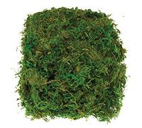 Baker Ross AV898 Dried Moss (Pack of 100G),Green, NA