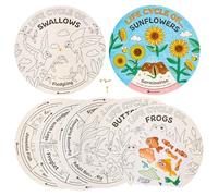 Baker Ross FN111 Life Cycle Sticker Wheels - Pack of 5, STEM, Science, and Learning Aids for Kids and Schools