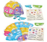 Baker Ross FN457 Human Brain Biology Hat Kits - Pack of 4, STEM, Science, Health and Learning Aids for Kids and Schools