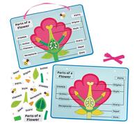Baker Ross FN459 Flower Parts Biology Kits - Pack of 4, STEM, Science, Maths and Learning Aids for Kids and Schools