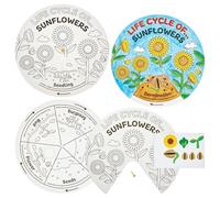 Baker Ross FN468 Sunflower Life Cycle Colour-in Sticker Wheels - Pack of 5, STEM, Science, Maths and Learning Aids for Kids and Schools