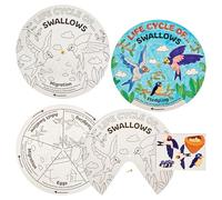 Baker Ross FN516 Swallow Bird Life Cycle Colour-in Sticker Wheels - Pack of 5, STEM, Science, Maths and Learning Aids for Kids and Schools