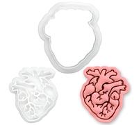 BAKERLOGY Anatomical Heart Mini Cookie Cutter and Stamp Set - Human Organ Biscuit Fondant Embosser for Biology Anatomy Baking, Gothic Valentine Halloween Medical Theme Decoration