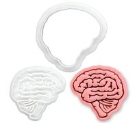BAKERLOGY Brain Mini Cookie Cutter and Stamp Set - Lateral View Anatomy Biscuit Fondant Embosser for Neurology Science Baking, Medical Student Doctor Radiology Theme Decoration