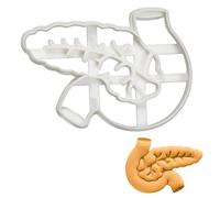 BAKERLOGY Pancreas Cookie Cutter - Detailed Biscuit Cutter Design for Baking and Crafts, Ideal on Fondant, Dough, Clay