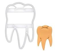 BAKERLOGY Realistic Molar Tooth Cookie Cutter - Detailed Biscuit Cutter Design for Baking and Crafts, Ideal on Fondant, Dough, Clay