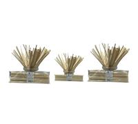 Baking Beauty and Beyond Cotton Candy Food Grade Square Birch Wood Sticks - Floss, Sturdy, Smooth, and Eco-Friendly Food Safe Wooden Skewers for Floss Making or Crafts, 250 Pieces, 11 Inch (275mm)
