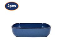 Baking Oven Dish 2pc Set Stoneware Roast Tray Rectangle Reactive Glaze Blue 1.2L