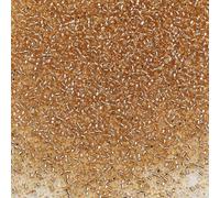 Bala&Fillic Size 12/0 Glass Seed Beads Champagne Color 2mm Transparent Silver Lined Seed Beads for Making Bracelet Necklace and Jewelry About 10000pcs/110g (Champagne)