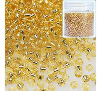 Bala&Fillic Size 12/0 Glass Seed Beads Golden Color 2mm Transparent Silver Lined Seed Beads for Making Bracelet Necklace and Jewelry About 10000pcs/110g (Golden)