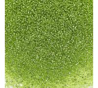 Bala&Fillic Size 12/0 Glass Seed Beads Light Green Color 2mm Transparent Silver Lined Seed Beads for Making Bracelet Necklace and Jewelry About 10000pcs/110g (Light Green)