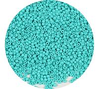 Bala&Fillic Size 2mm Turquoise Green Color Seed Beads 9000+pcs/100 Grams, 12/0 Round Glass Craft Beads for Making Jewelry Earring Bracelets Necklace