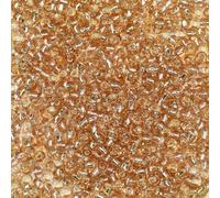Bala&Fillic Size 6/0 Glass Seed Beads Champagne Color 4mm Transparent Silver Lined Seed Beads for Making Bracelet Necklace and Jewelry About 1200pcs/100g (Champagne)