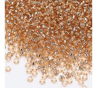 Bala&Fillic Size 8/0 Glass Seed Beads Champagne Color 3mm Transparent Silver Lined Seed Beads for Making Bracelet Necklace and Jewelry About 3600pcs/100g (Champagne)