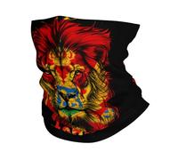 Balaclava Lion Funny Montenegro Flag Half Face Scarf Quick Drying Headwear For Climbing, Hunting, Running