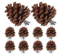 Balacoo 10pcs Natural Pine Cone Chewing Bird Toy for Small Animals and Pet Birds Hard to Scratch Foraging Toy Suitable for Birdcage