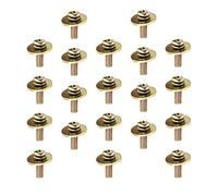 Balacoo 20pcs Golden Metal Snare Drum Screws Suitable for Drum Repairs Practical to Use Replacement Hardware