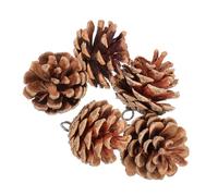 Balacoo 5Pcs Natural Pine Cone Bird Chewing for Parrots Hanging Foraging Plaything Beak Grinding Parrot Cage Accessories