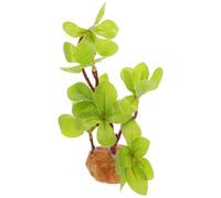 Balacoo Artificial Reptile Terrarium Plant Ornament for Turtle Tank and Fish Tank Plastic Material Safe for Pets for Reptile and Fish Habitat