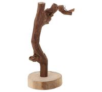 Balacoo Bird Training Stand with Natural Wood Perch and Secure Base, Portable Parrot Platform for Indoor Interaction and Play
