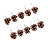 Balacoo Natural Pine Cone Parrot Chewing Providing Endless Entertainment for Medium Birds 10pcs Safe to Chew and Light in Weight Bird Cage Accessories