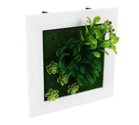 Balacoo Wall Mounted Artificial Succulent Photo Frame with Lifelike Faux Plants Space Saving Greenery Decor for Indoor Walls Easy Care Plant Holder Frame for Compact Living Rooms