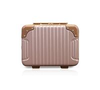 Balakaka Vanity Case 30 * 15 * 22cm, 10L Cosmetic Case with Handle and Zip Wear-Resistant, Hard Shell Beauty Case Makeup Box for Women Girls, Rose Gold
