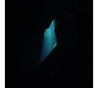 BALAM ACAB - WANDER / WONDER
