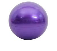 Balance Trainer 45-95CM Anti-Burst Yoga Ball Thickened Exercise for Pilates Balance